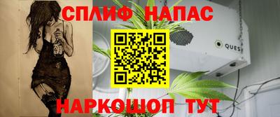 Альфа ПВП Будённовск