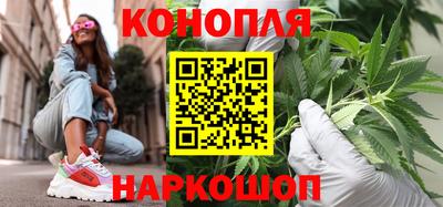 Альфа ПВП Будённовск