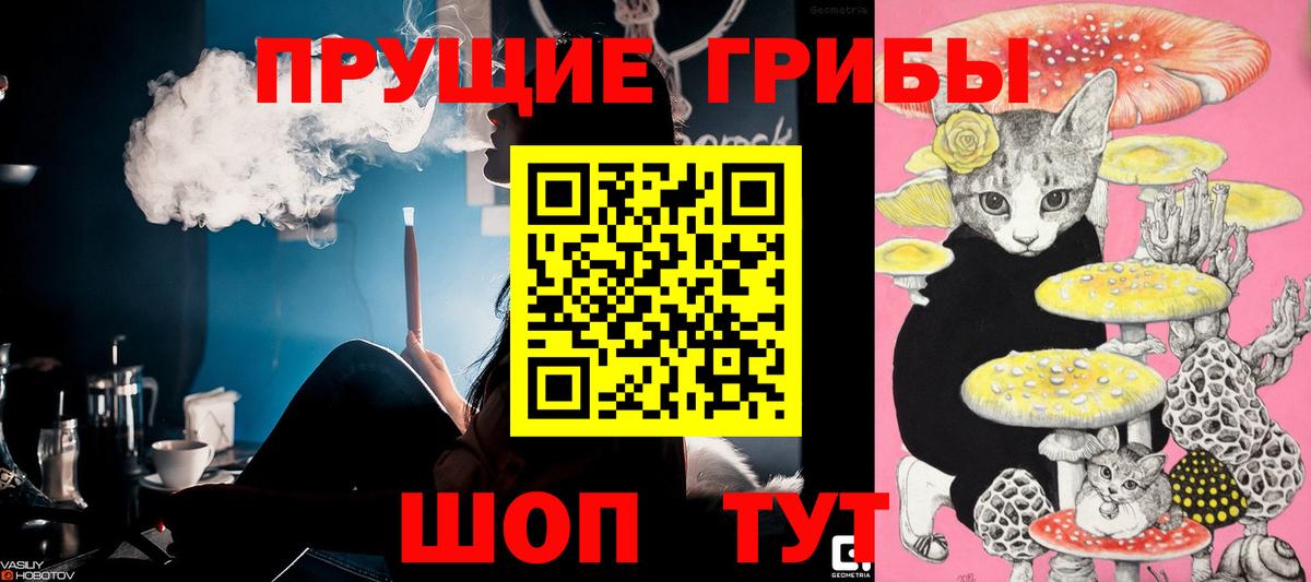 Липецк  Псилоцибиновые грибы GOLDEN TEACHER  Вход с VPN 